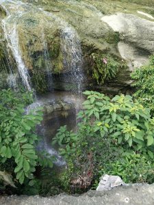 IMG_20160813_141546